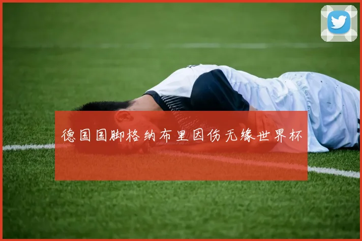 德国国脚格纳布里因伤无缘世界杯