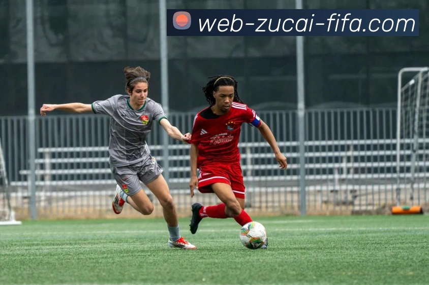 世界杯足彩网站服务体系