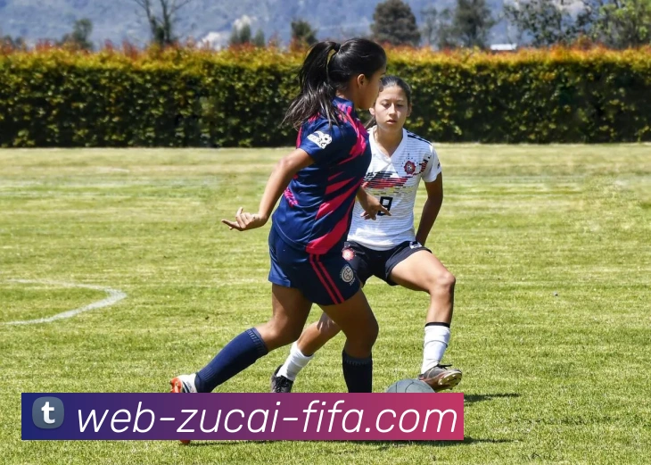 世界杯足彩网站APP 体育赛事宣传图